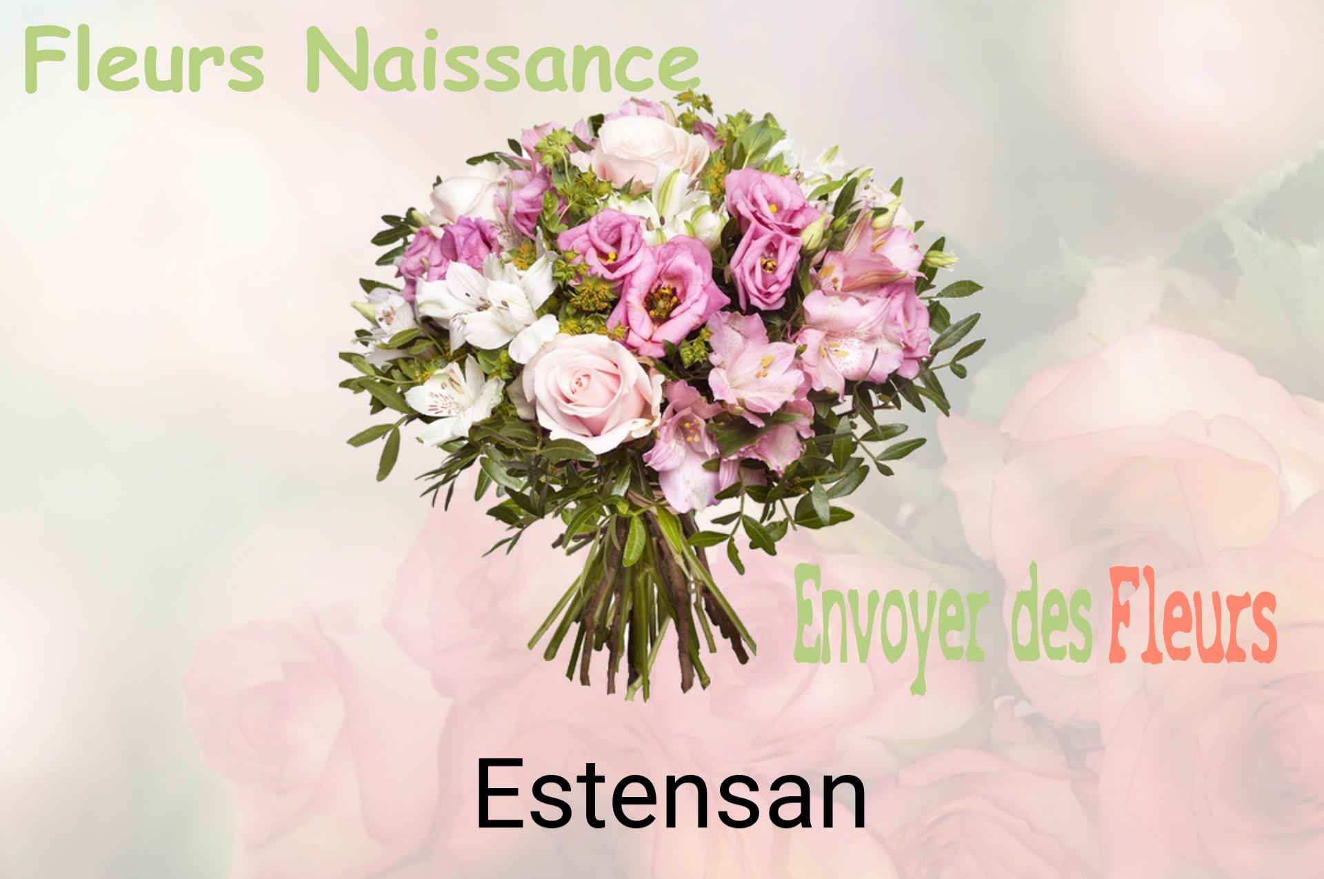Bouquet de fleurs de naissance livré à Estensan